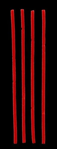 2026_05_21_391326