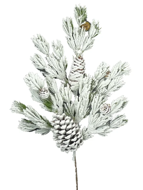 2026_05_21_416484