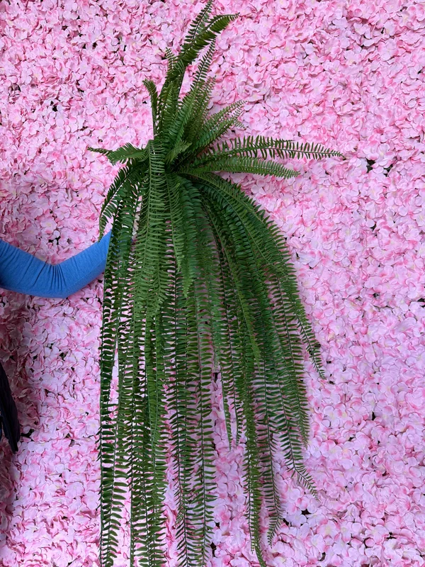 2026_05_22_464812