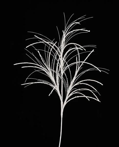 2026_05_26_930702