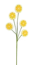 2026_05_26_940269
