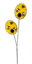 2026_05_26_942592