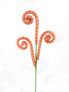 2026_05_26_945187