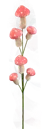 2026_05_26_965019