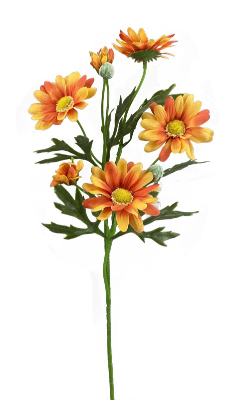 2026_05_27_1090296