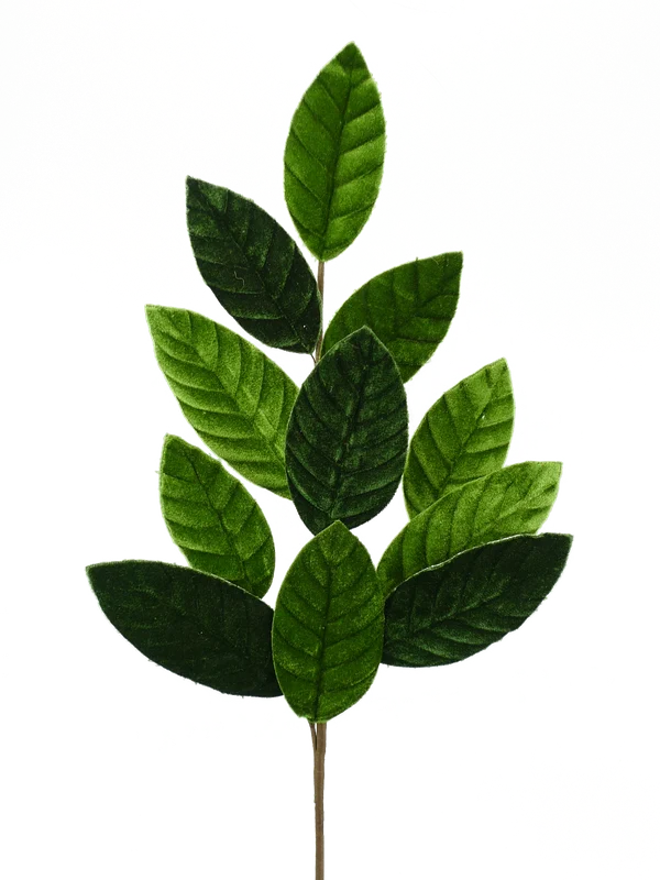2026_05_27_1099617