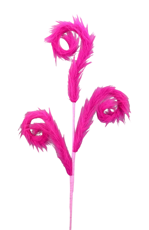 2026_05_27_1107954