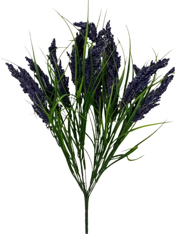2026_05_27_1113861