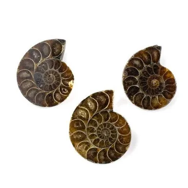 cherrytreebeads20260521162511394695