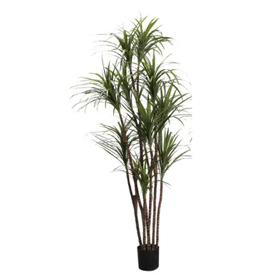 floradec20260521152150385380