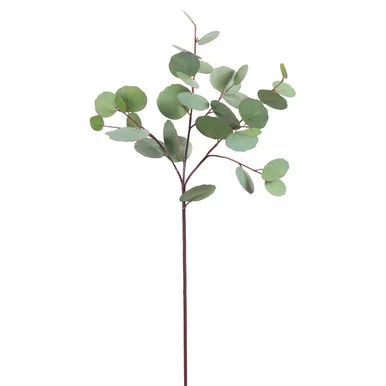 floradec20260521152334385639