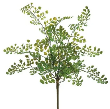 floradec20260521152336385646