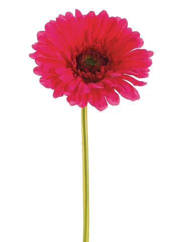 floradec20260521153051386766