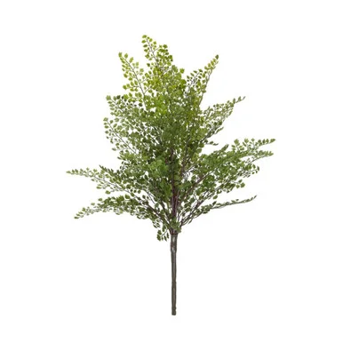floradec20260521153510387449