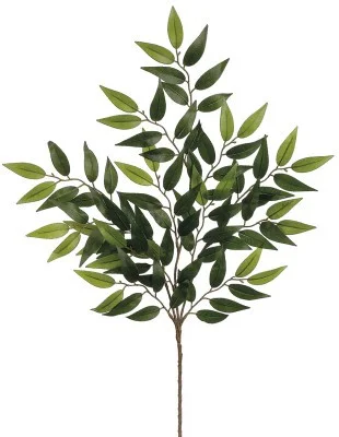 floradec20260521153637387674