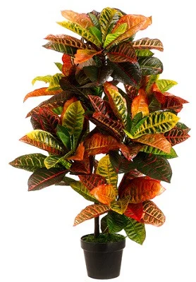floradec20260521154434388981