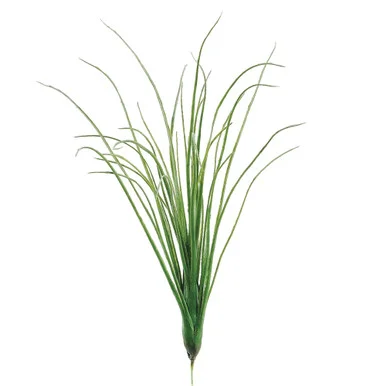 floradec20260521154647389317