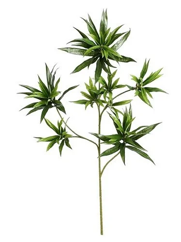 floradec20260521154737389443