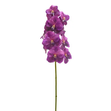floradec20260521155010389824