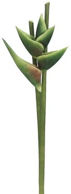 floradec20260521155226390080