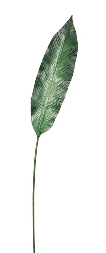 floradec20260521155652390761