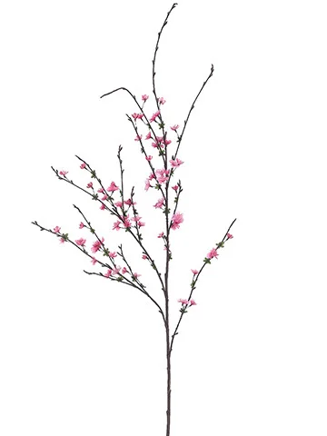 floradec20260521160600392000