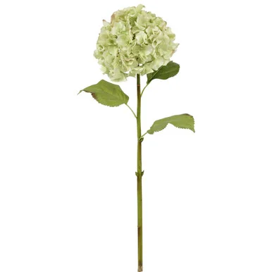 floradec20260521160756392270