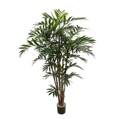 floradec20260521161519393277