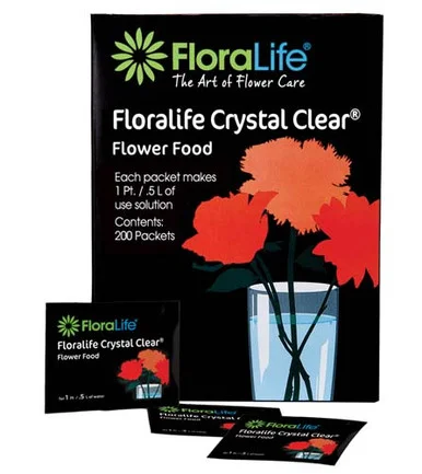 floradec20260521161702393520