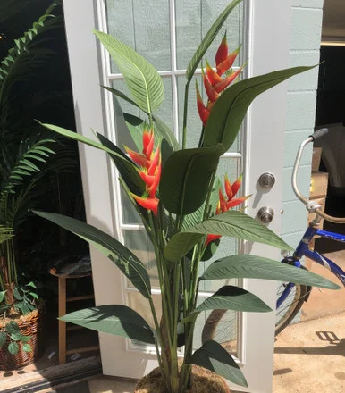 floradec20260521162610394876