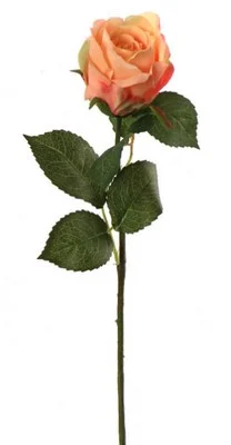 floradec20260521163006395549