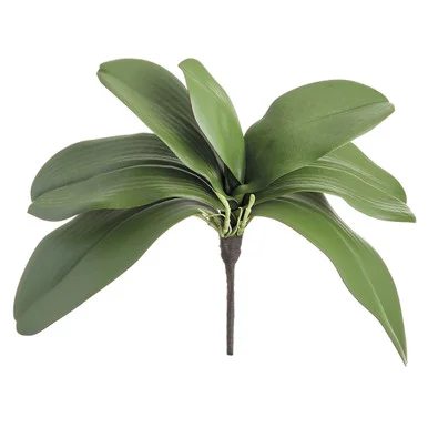 floradec20260521163312396091
