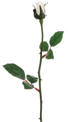 floradec20260521163558396589