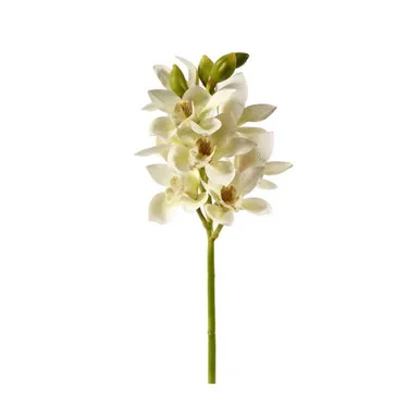 floradec20260521163646396750