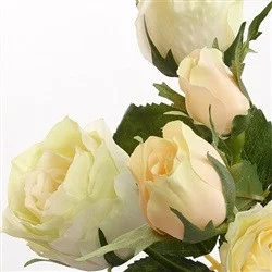 floradec20260521163933397199