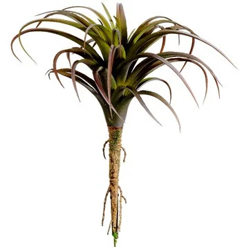 floradec20260521164341397837