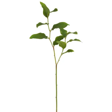 floradec20260521164615398249