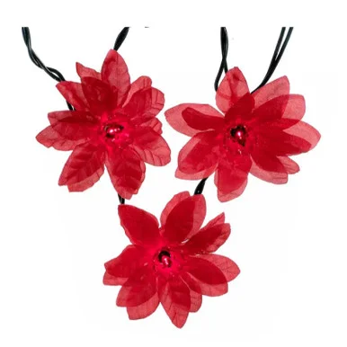 floradec20260521164653398345