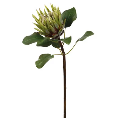 floradec20260521165110398961