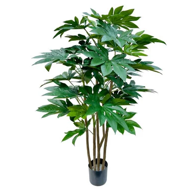 floradec20260521165539399556