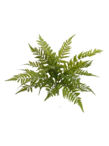 floradec20260521170242400540