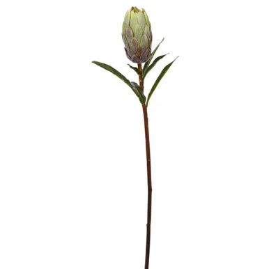 floradec20260521170557401015