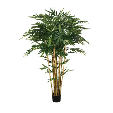 floradec20260521170616401060