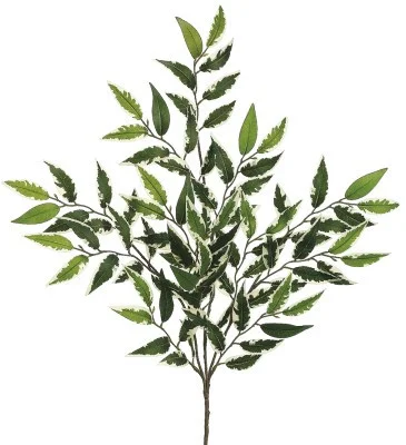 floradec20260521172506403723