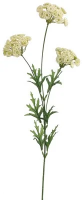 floradec20260521172947404365
