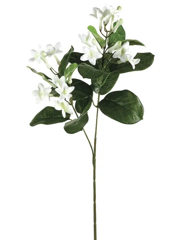 floradec20260521173723405413