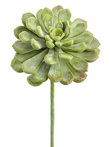 floradec20260521173754405501