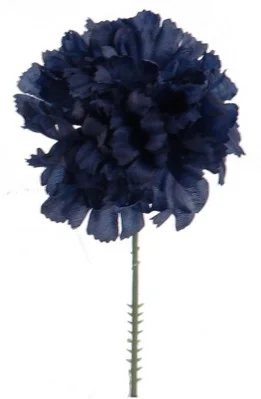 floradec20260521173838405610