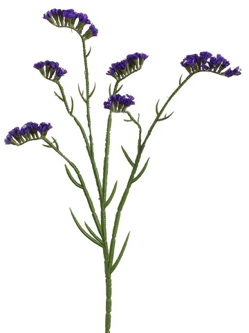 floradec20260521174517406653