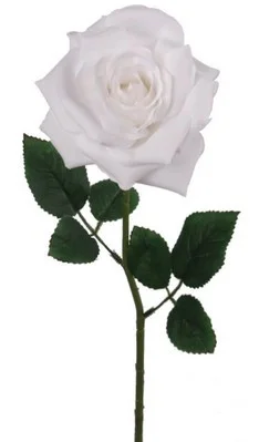 floradec20260521174707406958